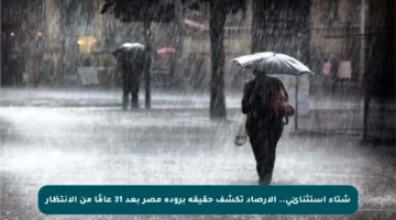 شتاء استثنائي.. الأرصاد تكشف حقيقة برودة مصر بعد 31 عامًا من الانتظار
